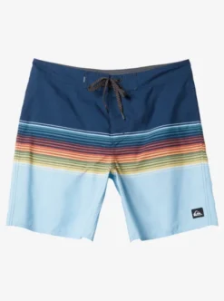 Quiksilver Boys 8-16 Everyday Swell Vision Board Shorts