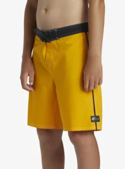 Quiksilver Boys 8-16 Saturn Board Shorts -Sunny Fit Wear aqbbs03141 quiksilverw njz0 frt3