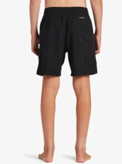 Quiksilver Boys 8-16 Everyday Volley Swim Shorts -Sunny Fit Wear aqbjv03039 quiksilverw kvj0 bck1