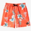 Quiksilver Boys 8-16 Everyday Mix Swim Shorts