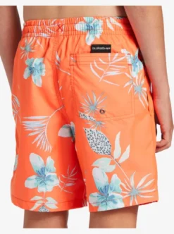 Quiksilver Boys 8-16 Everyday Mix Swim Shorts -Sunny Fit Wear aqbjv03040 quiksilverw rmz9 frt3