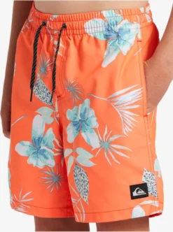 Quiksilver Boys 8-16 Everyday Mix Swim Shorts -Sunny Fit Wear aqbjv03040 quiksilverw rmz9 frt4