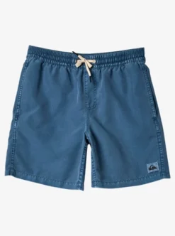Quiksilver Boys 8-16 Everyday Surfwash Swim Shorts