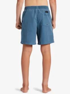 Quiksilver Boys 8-16 Everyday Surfwash Swim Shorts -Sunny Fit Wear aqbjv03041 quiksilverw bmq0 bck1