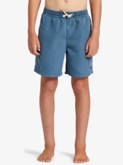 Quiksilver Boys 8-16 Everyday Surfwash Swim Shorts -Sunny Fit Wear aqbjv03041 quiksilverw bmq0 frt1