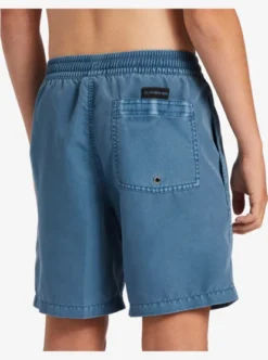 Quiksilver Boys 8-16 Everyday Surfwash Swim Shorts -Sunny Fit Wear aqbjv03041 quiksilverw bmq0 frt3