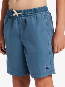 Quiksilver Boys 8-16 Everyday Surfwash Swim Shorts -Sunny Fit Wear aqbjv03041 quiksilverw bmq0 frt4