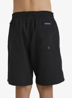 Quiksilver Waterboy Volley - Swim Shorts For Boys 8-16 -Sunny Fit Wear aqbjv03060 quiksilverw kvj0 dtl1