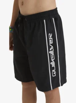 Quiksilver Waterboy Volley - Swim Shorts For Boys 8-16 -Sunny Fit Wear aqbjv03060 quiksilverw kvj0 dtl2