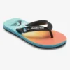 Quiksilver Boys Molokai Art Flip-Flops