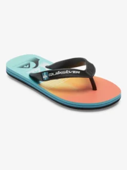 Quiksilver Boys Molokai Art Flip-Flops