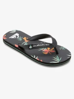 Quiksilver Boys Molokai Art Beach Flip-Flops