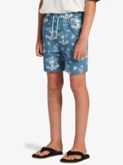 Quiksilver Boys 8-16 Palm Spritz Elasticated Waist Walk Shorts -Sunny Fit Wear aqbws03074 quiksilverw bmq6 frt2