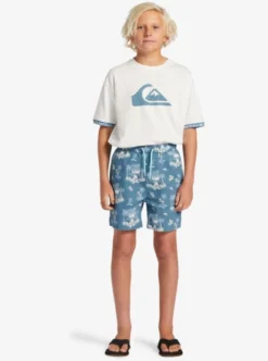 Quiksilver Boys 8-16 Palm Spritz Elasticated Waist Walk Shorts -Sunny Fit Wear aqbws03074 quiksilverw bmq6 frt9