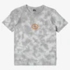 Quiksilver Boys 8-16 Anything Goes T-Shirt