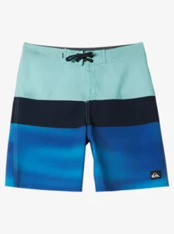 Quiksilver Boys 2-7 Everyday Panel Board Shorts