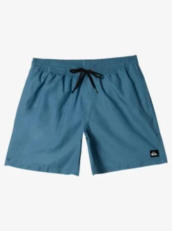 Quiksilver Boys 2-7 Everyday Deluxe Swim Shorts