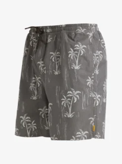 Quiksilver Mens Cliffside 17" Swim Shorts -Sunny Fit Wear aqmjv03096 quiksilverv kvj9 sd1