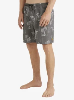 Quiksilver Mens Cliffside 17" Swim Shorts -Sunny Fit Wear aqmjv03096 quiksilverw kvj9 sd1