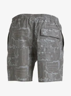 Quiksilver Mens Longboard 17" Swim Shorts -Sunny Fit Wear aqmjv03097 quiksilverv kvj9 bck1