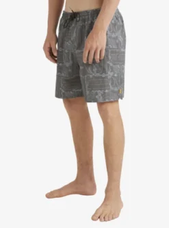 Quiksilver Mens Longboard 17" Swim Shorts -Sunny Fit Wear aqmjv03097 quiksilverw kvj9 sd1