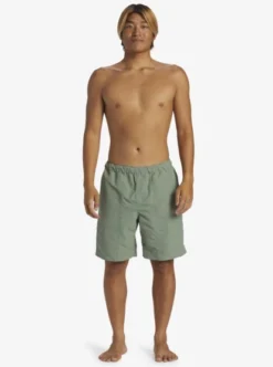 Quiksilver Mens Made Better 18.5" Amphibian Board Shorts -Sunny Fit Wear aqyhy03238 quiksilverw glw0 frt9