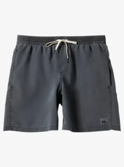 Quiksilver Mens Everyday Surfwash 17" Swim Shorts