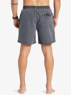 Quiksilver Mens Everyday Surfwash 17" Swim Shorts -Sunny Fit Wear aqyjv03130 quiksilverw kvj0 bck1
