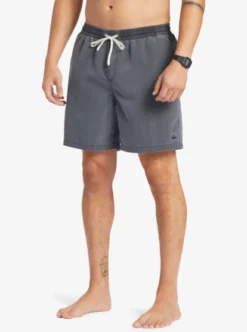 Quiksilver Mens Everyday Surfwash 17" Swim Shorts -Sunny Fit Wear aqyjv03130 quiksilverw kvj0 frt2