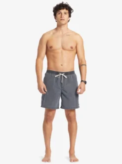 Quiksilver Mens Everyday Surfwash 17" Swim Shorts -Sunny Fit Wear aqyjv03130 quiksilverw kvj0 frt9