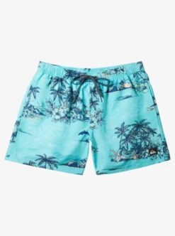 Quiksilver Mens Everyday Mix Volley 17" Swim Shorts