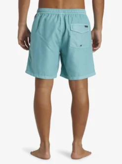 Quiksilver Mens Everyday Surfwash Volley 17" Swim Shorts -Sunny Fit Wear aqyjv03151 quiksilverw bha0 bck1
