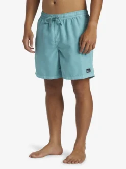 Quiksilver Mens Everyday Surfwash Volley 17" Swim Shorts -Sunny Fit Wear aqyjv03151 quiksilverw bha0 frt2