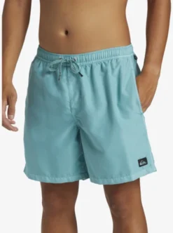 Quiksilver Mens Everyday Surfwash Volley 17" Swim Shorts -Sunny Fit Wear aqyjv03151 quiksilverw bha0 frt3