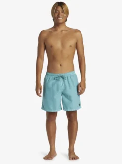 Quiksilver Mens Everyday Surfwash Volley 17" Swim Shorts -Sunny Fit Wear aqyjv03151 quiksilverw bha0 frt9