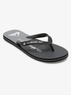 Quiksilver Mens Molokai Tijuana Flip-Flops