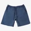 Quiksilver Mens Taxer Walk Shorts