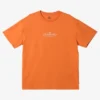 Quiksilver Mens Trinity Oversized T-shirt