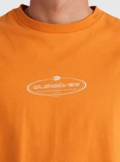 Quiksilver Mens Trinity Oversized T-shirt -Sunny Fit Wear aqyzt09481 quiksilverw nlp0 dtl1