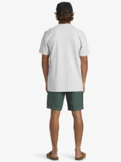 Quiksilver Mens N.A.R T-Shirt -Sunny Fit Wear aqyzt09548 quiksilverw scvw bck1