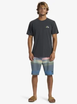 Quiksilver Mens Spaceman T-Shirt -Sunny Fit Wear aqyzt09554 quiksilverw kta0 frt1