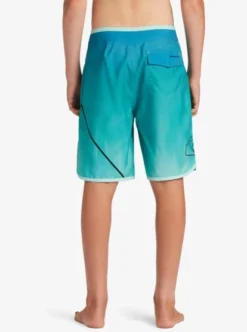 Quiksilver Boys 8-16 Everyday New Wave 17" Boardshorts -Sunny Fit Wear eqbbs03664 quiksilverw bgm9 bck1
