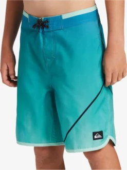Quiksilver Boys 8-16 Everyday New Wave 17" Boardshorts -Sunny Fit Wear eqbbs03664 quiksilverw bgm9 frt4