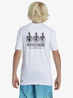 Quiksilver Boys 8-16 Mix Session Short Sleeve Surf T-Shirt -Sunny Fit Wear eqbwr03234 quiksilverw wbb0 bck1