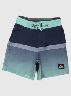 Quiksilver Boys Division 12" Beachshorts