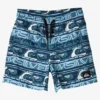 Quiksilver Boys 2-7 Next Gen 12" Swim Shorts