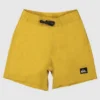 Quiksilver Boys Everyday Deluxe 12" Swim Shorts