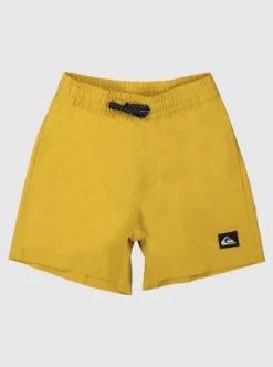 Quiksilver Boys Everyday Deluxe 12" Swim Shorts