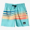 Quiksilver Boys 2-7 Everyday Mix 12" Swim Shorts