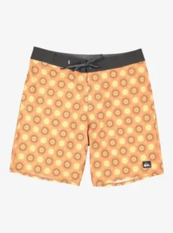 Quiksilver Mens Surfsilk QS 69 19" Board Shorts
